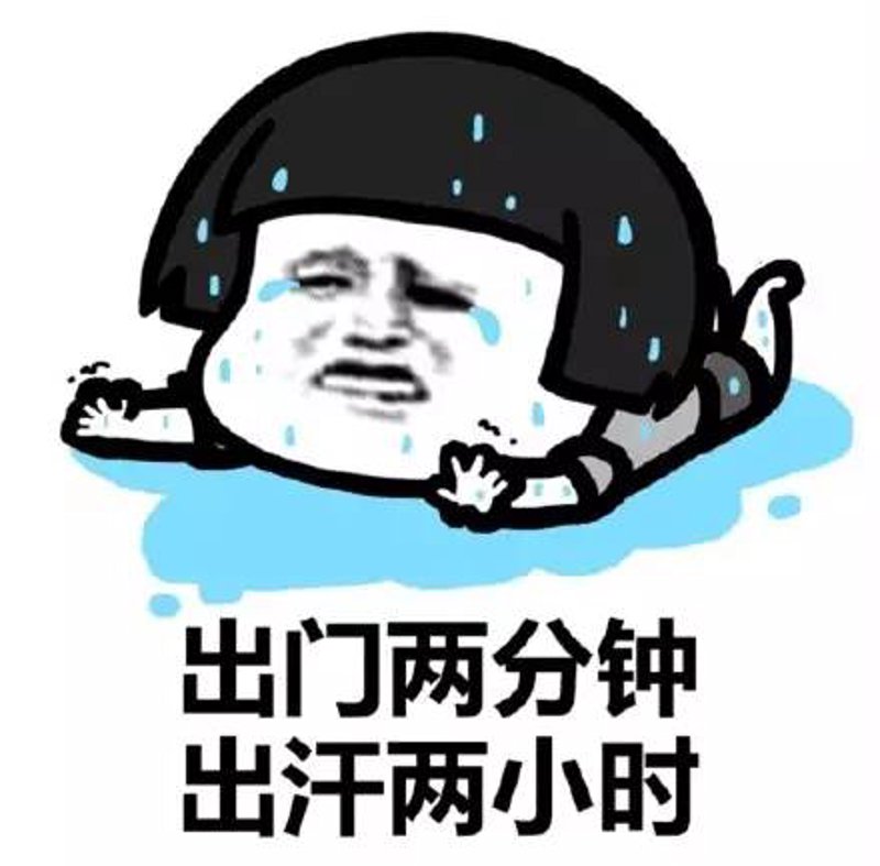 科目二考试动态解读:驾考路上的里程碑